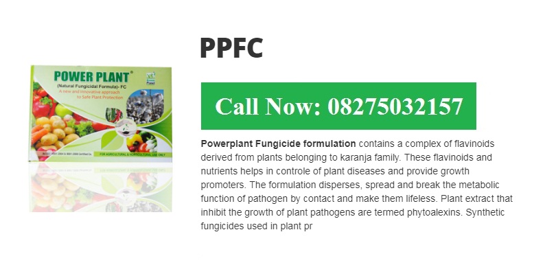 Green Planet Bio Products Nashik Mobile  shop Nashik